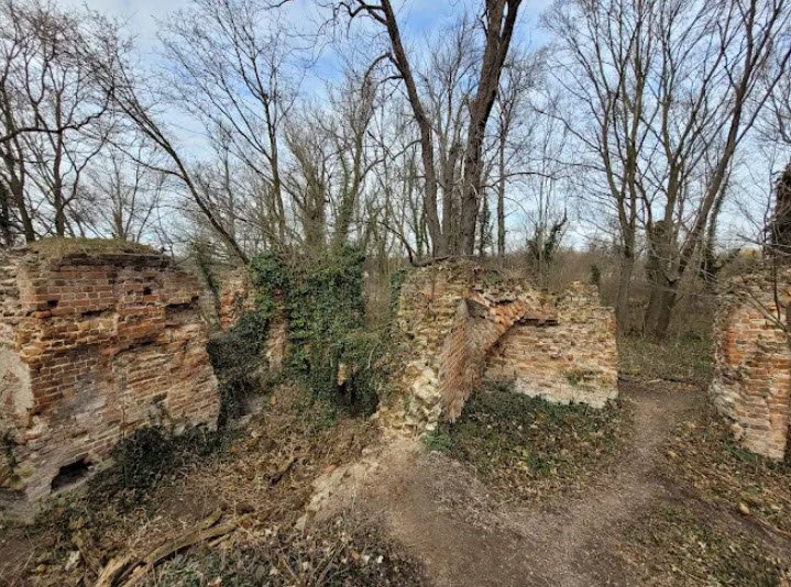 Ruiny Zamku Książęcego w Jelczu-Laskowicach, Jelcz-Laskowice, Poland, Poland